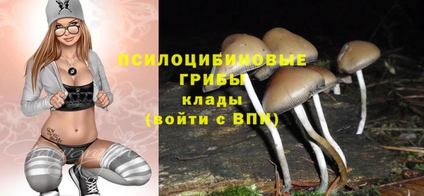 мет Армянск